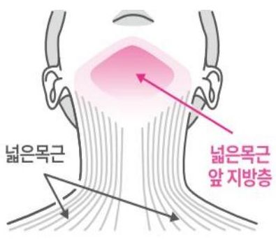 턱밑지방